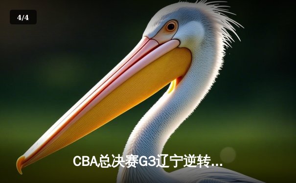 CBA总决赛G3辽宁逆转广厦夺赛点 郭艾伦30+8张镇麟关键三分 - 4